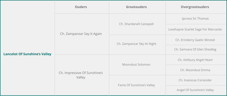 Lancelot Of Sunshine’s Valley Ouders Grootouders Overgrootouders Ch. Zampanzar Say It Again Ch. Impressive Of Sunshine’s Valley Ch. Shardanell Castapell Ch. Zampanzar Sky At Night Moondust Solomon Fame Of Sunshine’s Valley Ipcress Sir Thomas Lovehayne Scarlet Sage For Marcasite Ch. Erinderry Gaelic Minstel Ch. Samsara Of Glen Sheallag Ch. Ashbury Angel Heart Ch. Moondust Emma Ch. Inassicas Coriander Angel Of Sunshine’s Valley