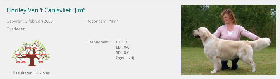 Finriley Van ‘t Canisvliet “Jim” Geboren : 5 februari 2006	Roepnaam : "Jim" Overleden		 		 		Gezondheid :	HD : B 			ED : 0-0 			SD : 0-0 			Ogen : vrij + Resultaten : klik hier.